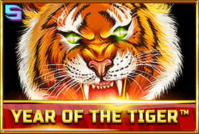 Year Of The Tiger