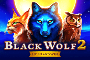 Black Wolf 2